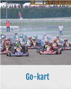 Go-kart